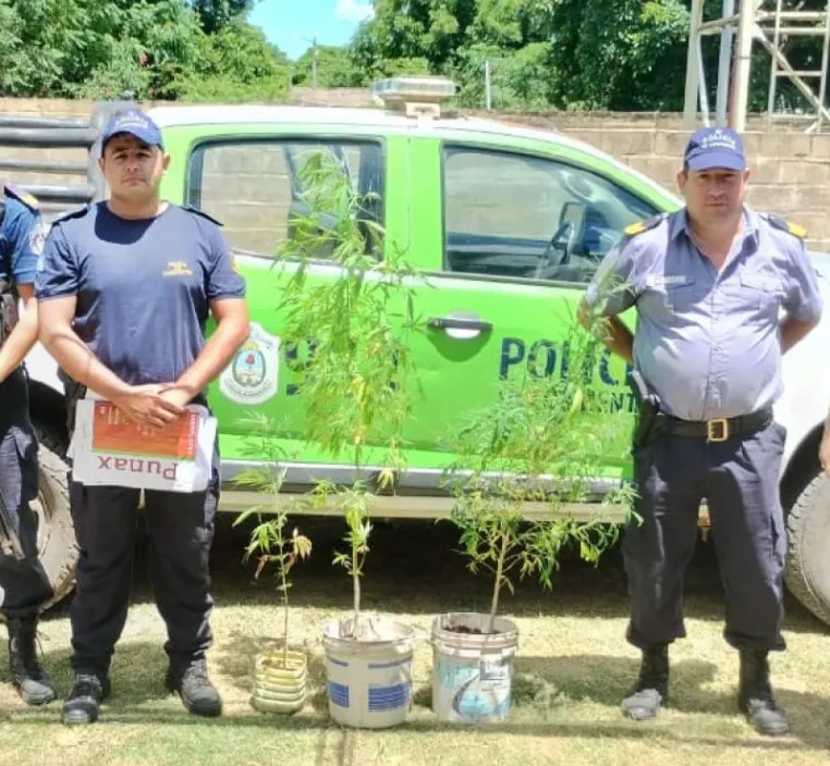 SECUESTRARON TARROS CON MARIHUANA