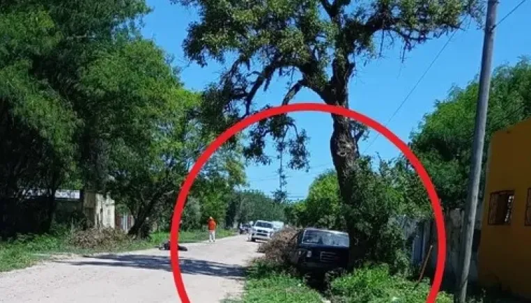 HORROR: LO CHOCÓ UNA CAMIONETA, FUE ATACADO POR ABEJAS Y FALLECIÓ