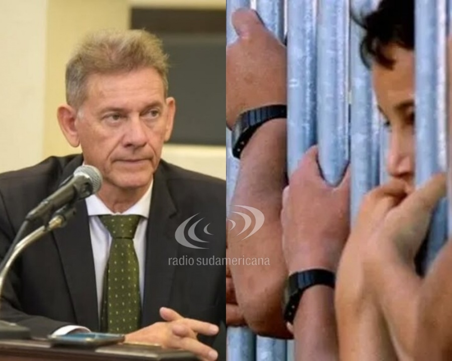 LEY PENAL JUVENIL: “ES UN PASO ADELANTE PARA PROTEGER A LOS MENORES”